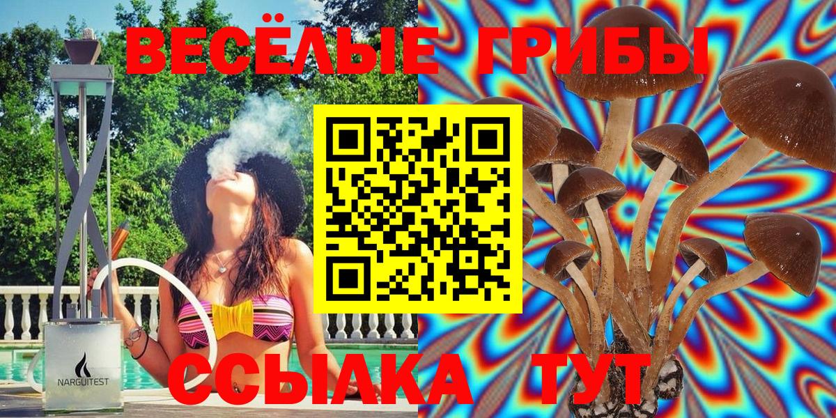 Галлюциногенные грибы мицелий Губаха