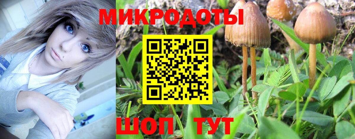 Псилоцибиновые грибы Psilocybine cubensis  Вход с VPN  где можно купить наркотик  Губаха 