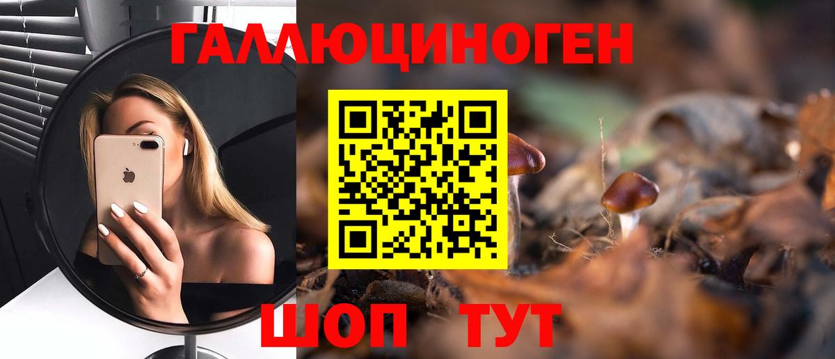 Галлюциногенные грибы MAGIC MUSHROOMS  Губаха 