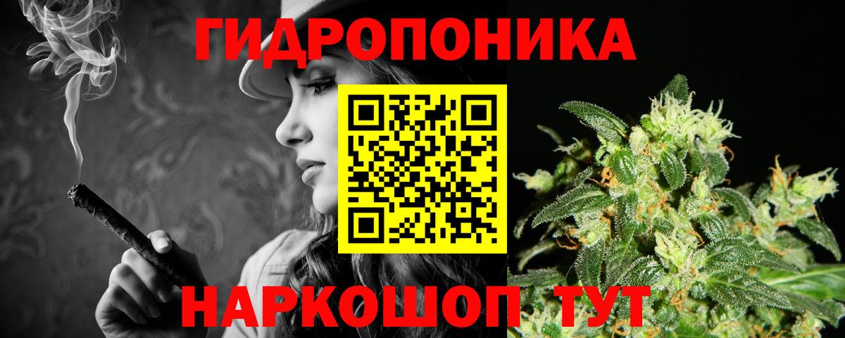 МАРИХУАНА OG Kush  Бошки Шишки индика  Губаха  Канабис OG Kush 